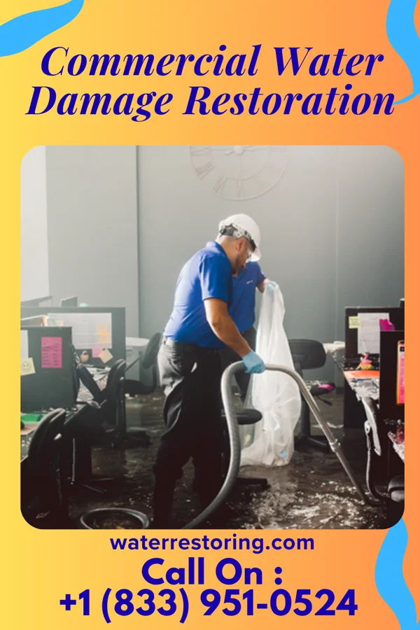 Commercial Water Damage Restoration in Eagle, MI