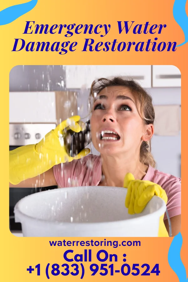 Emergency Water Damage Restoration in Eagle, MI